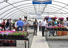 The trials at Speedling.